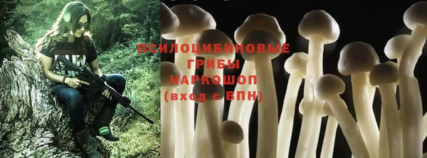apvp Абинск
