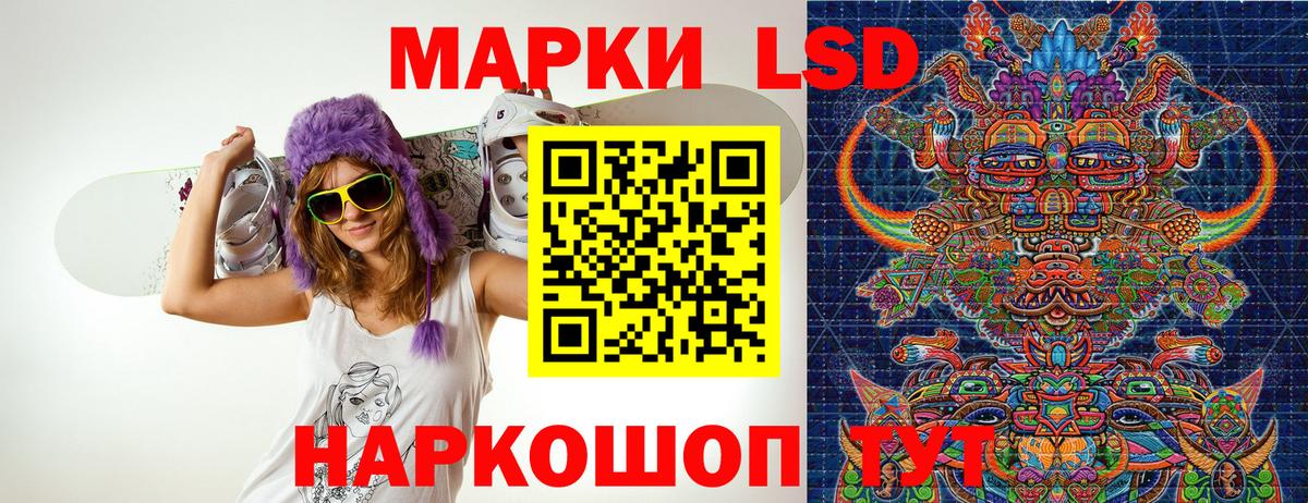 где купить наркоту  Марки NBOMe 1,8мг  Вход с VPN  Новокубанск 