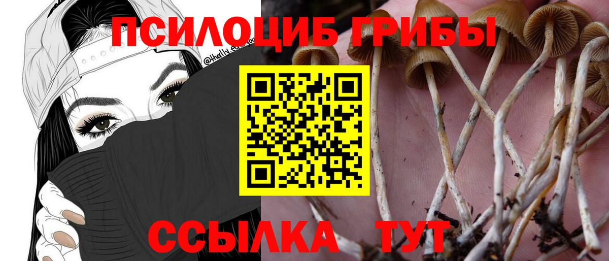 Галлюциногенные грибы ЛСД  Галлюциногенные грибы Magic Shrooms  Новокубанск  Вход с VPN 