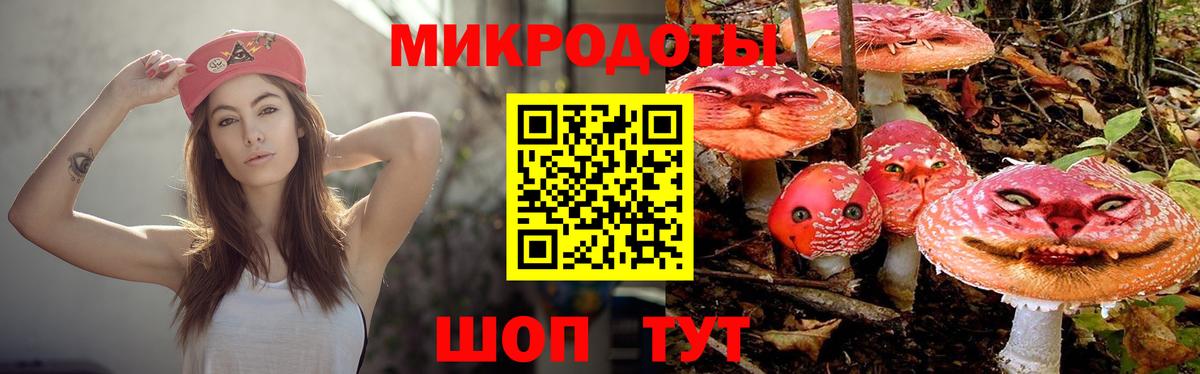 Галлюциногенные грибы ЛСД Новокубанск